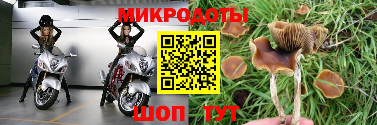 Ессентуки  Галлюциногенные грибы MAGIC MUSHROOMS  наркота  Вход с VPN 