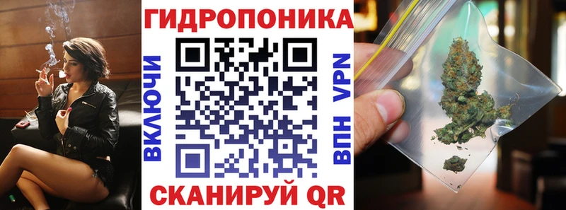 Бошки Шишки THC 21%  Ессентуки 