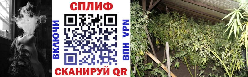 Конопля SATIVA & INDICA Ессентуки